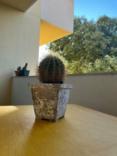 Apartamento Roseda Casa Vacanze