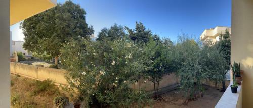Apartamento Roseda Casa Vacanze