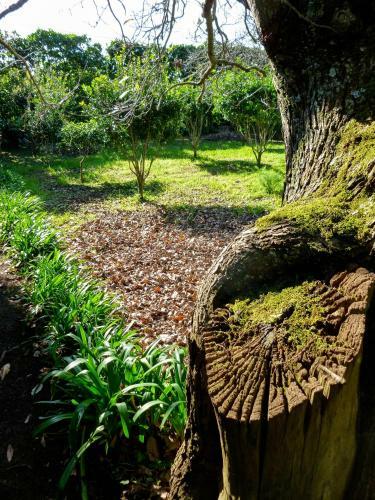 Agroturismo Quinta Do Esp�rito Santo