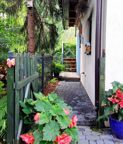 Apartament Dro?dzik�wka