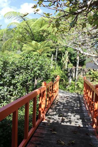 Hotel Haruru Falls Resort