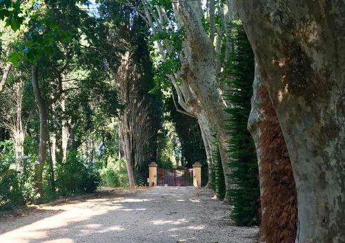 Apartamento Can Codol - Casita, A Hidden Gem On The Costa Brava