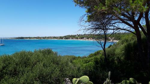 La Casa Del Mare 100mt Dalla Spiaggia