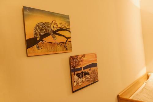 Apartamento Locanda Elisa Dimaro Folgarida