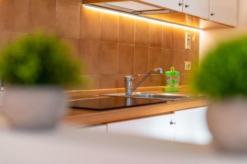 Apartamento Locanda Elisa Dimaro Folgarida