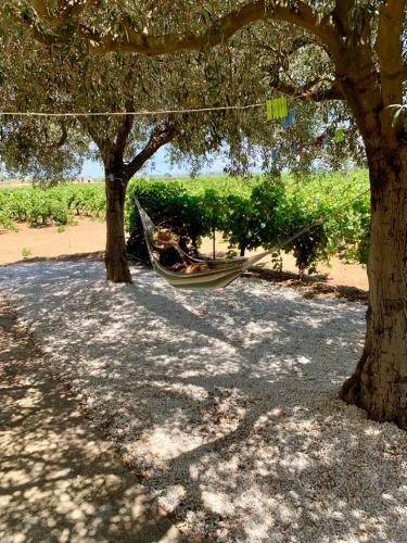 Casa Tra I Vigneti, 2 Km Dal Mare