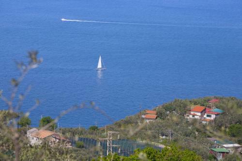 Amore Rentals - Villa Venus