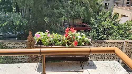 Mam`s Apartment In The Center