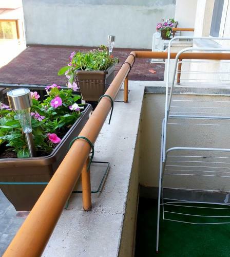 Mam`s Apartment In The Center