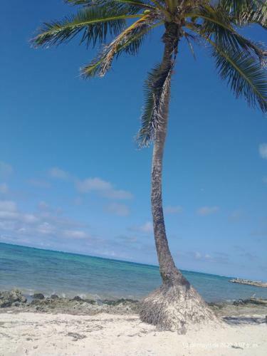 Hotel Oceano Paradise San Andr�s