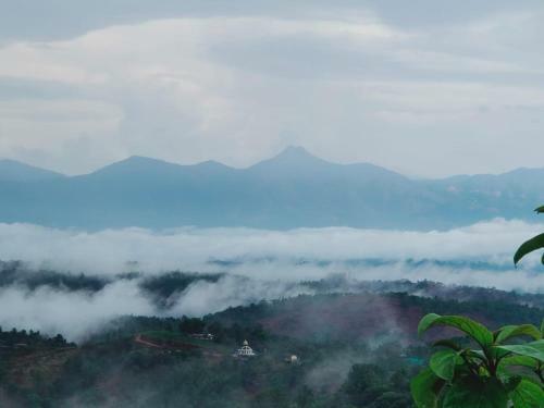 Villa Olivia Homestay Idukki