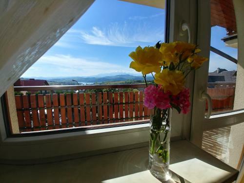 Bed & Breakfast Pensjonat Willa Szarotka