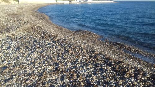 Romance Stone Cozy On The Beach ?????? ????????????? ????????