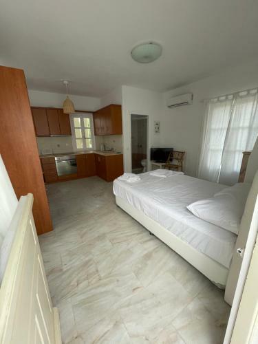 Amedi Villas Tinos
