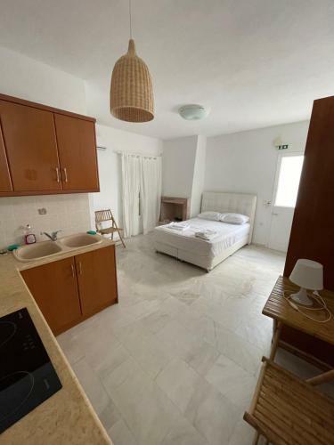 Amedi Villas Tinos