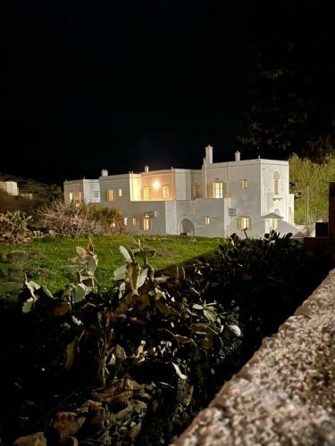 Amedi Villas Tinos