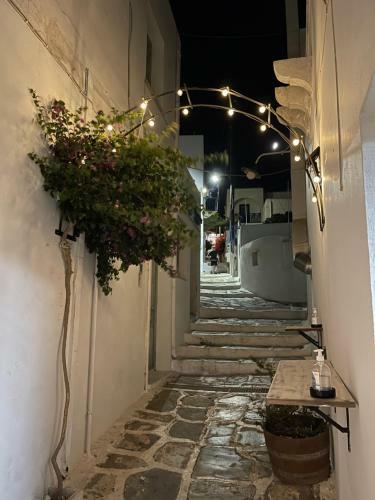 Amedi Villas Tinos