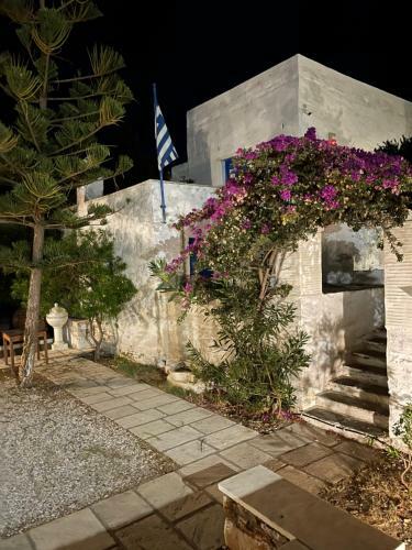 Amedi Villas Tinos