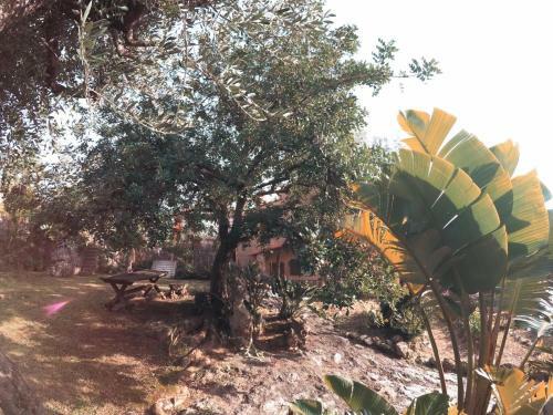 Apartamento Villa Paolina Ceriale - App. 4 Posti