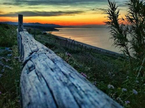 Nuovo Appartamento In Centro A 50m Dal Mare