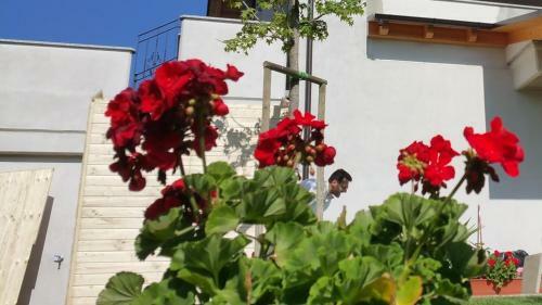 Bed & Breakfast Angulum