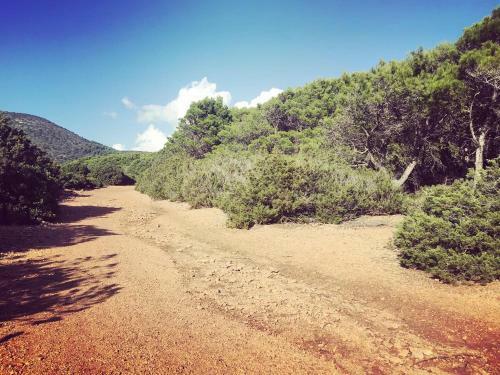 Bed & Breakfast Voce Del Mare - Alghero Airport