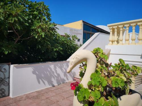 Apartamento Appartamento Frontemare Sv1