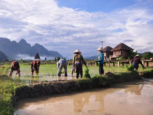 Hotel Vieng Tara Villa