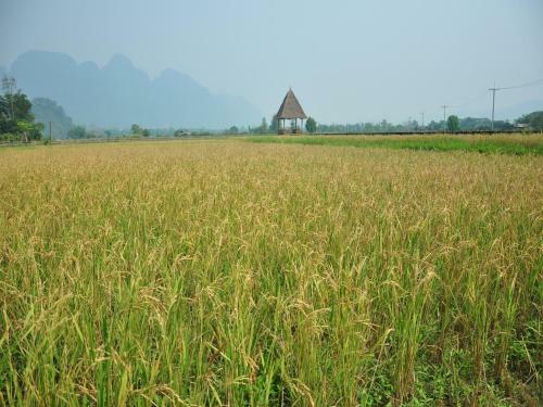 Hotel Vieng Tara Villa