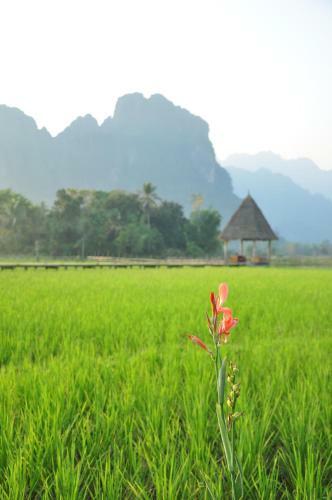 Hotel Vieng Tara Villa