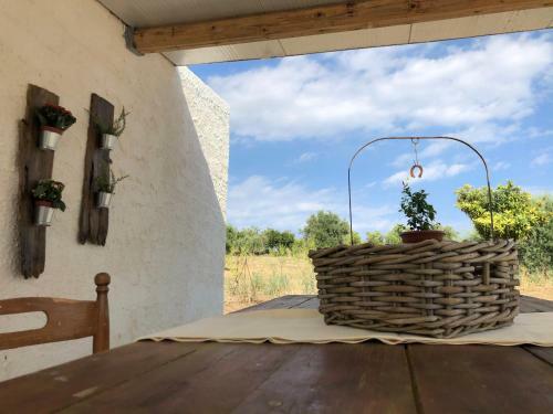 Tenuta Basile - Slow Live&homemade Food