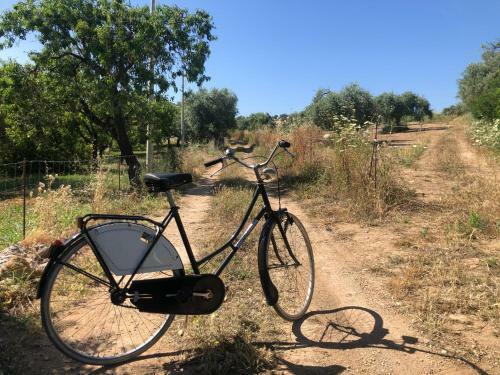 Tenuta Basile - Slow Live&homemade Food