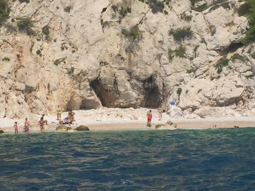 Petit �den