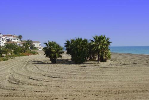 Club Villamar - Esquilo