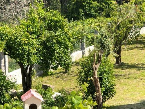 Agroturismo Casa Estrella