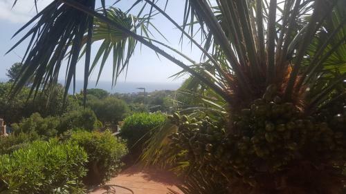 Apartamento Terrazze Al Mare (urlaub An Sardiniens Westk�ste)