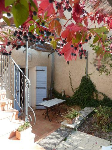 Provence's Home