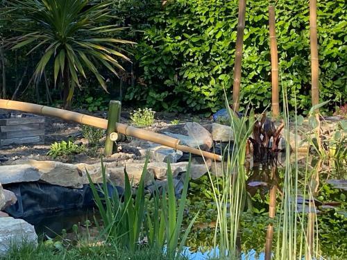 Hostal D�tente & Spa