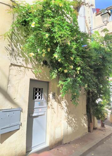 Apartamento Le Balcon De Saint Roch