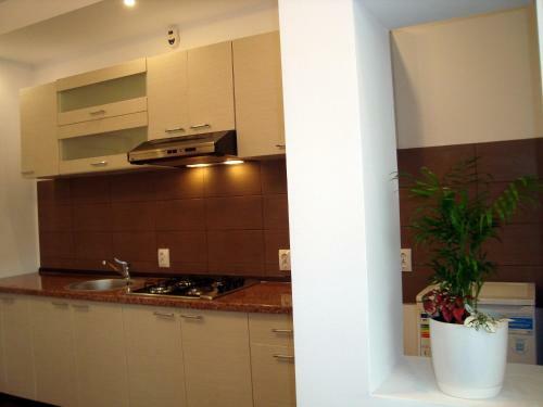 Hostal Casa Cu Flori