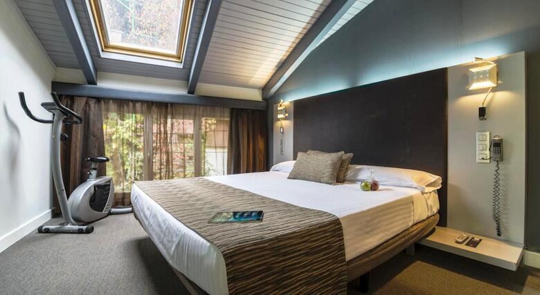 Hotel Petit Palace San Bernardo