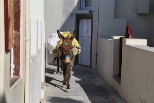 Apartamento Art Villa Sidi Bouzid