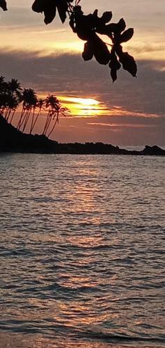 Bed & Breakfast Moon River Surf Beach Cabana