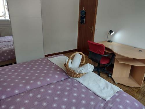 Apartamento Lizarra 49