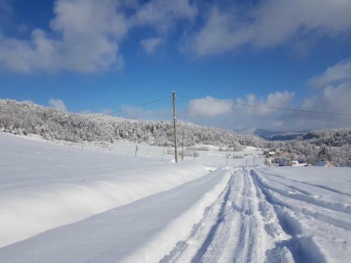 Lodge Domki Puchary Bieszczady
