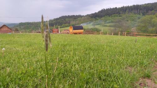 Lodge Domki Puchary Bieszczady