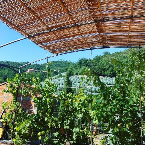 Bed & Breakfast La Casa Di Giobatta