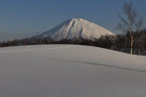 Posada Niseko Freedom Inn