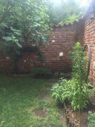Apartamento B&B Il Geco