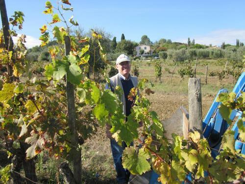 Agroturismo Podere La Montalla